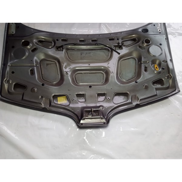 Capo Dianteiro Renault Scenic 2000